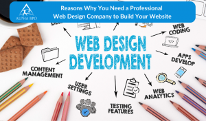 Reasons Why You Need a Professional Web Design Company to Build Your Website
