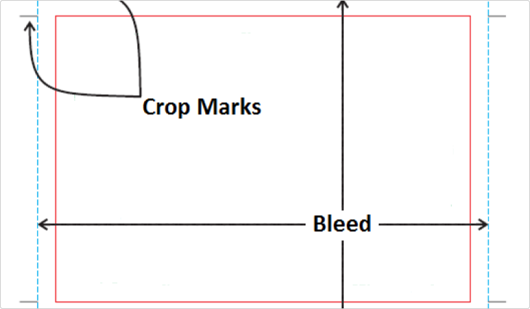 Understanding Bleed and Crop Marks for Print
